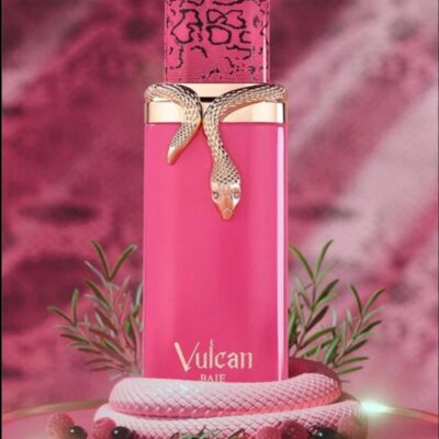Vulcan BAIE By French Avenue EDP 100ml (Dubai Replica Ladies)